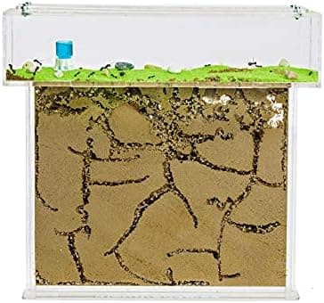 Ameisenfarm Acryl Set Natursand
